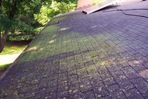 Roof Cleaning of Mold